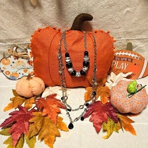 Animal print Zebra set of 2 Necklaces